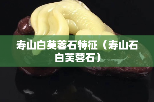 寿山白芙蓉石特征（寿山石白芙蓉石）