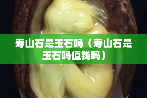 寿山石是玉石吗（寿山石是玉石吗值钱吗）