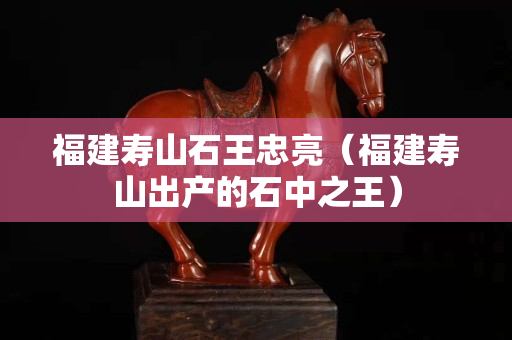 福建寿山石王忠亮（福建寿山出产的石中之王）