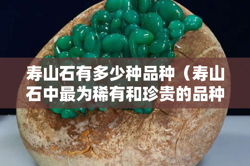 寿山石有多少种品种（寿山石中最为稀有和珍贵的品种）