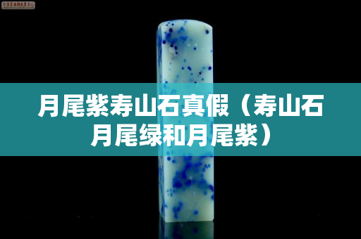 月尾紫寿山石真假（寿山石月尾绿和月尾紫）