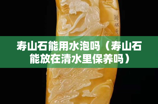 寿山石能用水泡吗（寿山石能放在清水里保养吗）