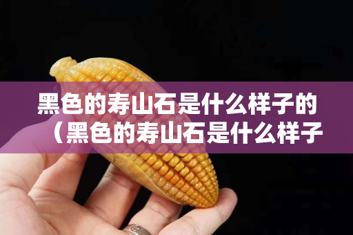 黑色的寿山石是什么样子的（黑色的寿山石是什么样子的呢）