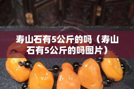 寿山石有5公斤的吗（寿山石有5公斤的吗图片）