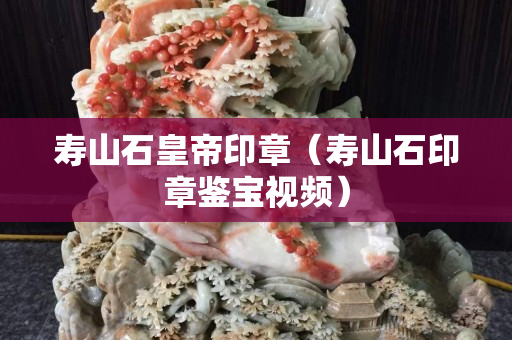 寿山石皇帝印章（寿山石印章鉴宝视频）
