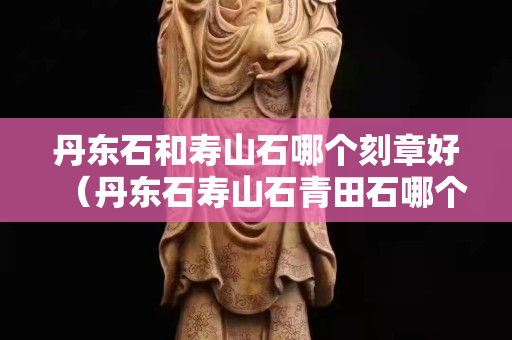 丹东石和寿山石哪个刻章好（丹东石寿山石青田石哪个好）