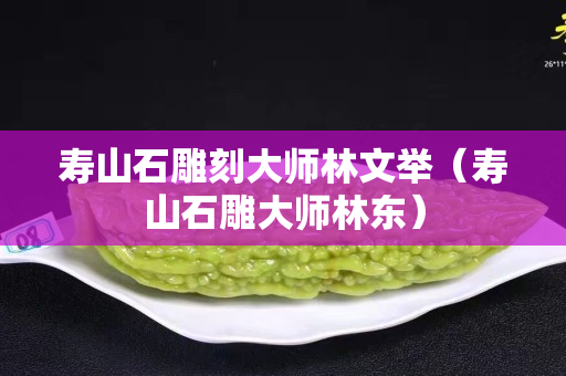 寿山石雕刻大师林文举（寿山石雕大师林东）