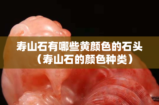寿山石有哪些黄颜色的石头（寿山石的颜色种类）