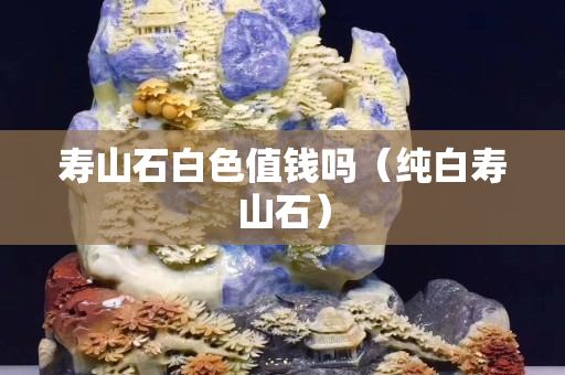 寿山石白色值钱吗（纯白寿山石）