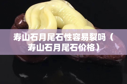 寿山石月尾石性容易裂吗（寿山石月尾石价格）