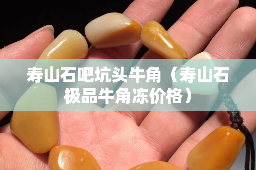 寿山石吧坑头牛角（寿山石极品牛角冻价格）