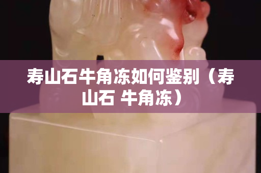 寿山石牛角冻如何鉴别（寿山石 牛角冻）