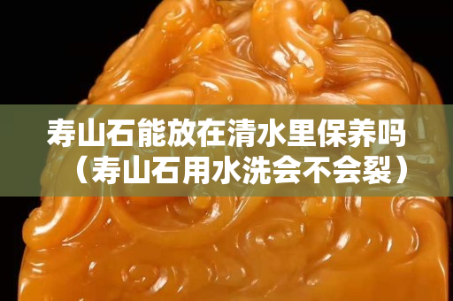 寿山石能放在清水里保养吗（寿山石用水洗会不会裂）