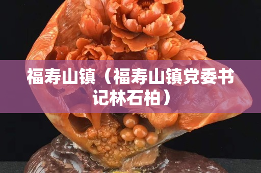 福寿山镇（福寿山镇党委书记林石柏）