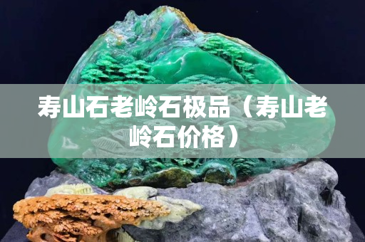 寿山石老岭石极品（寿山老岭石价格）