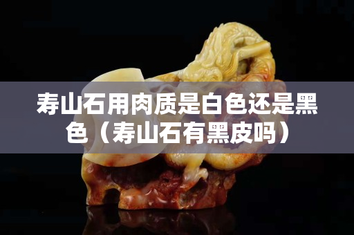 寿山石用肉质是白色还是黑色（寿山石有黑皮吗）