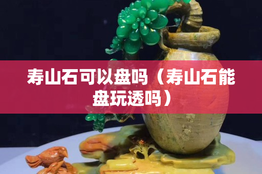 寿山石可以盘吗（寿山石能盘玩透吗）