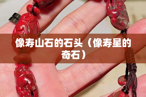像寿山石的石头（像寿星的奇石）