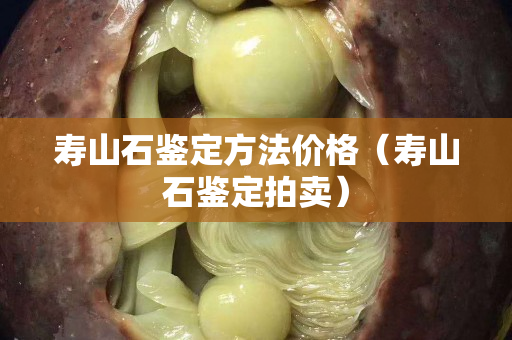 寿山石鉴定方法价格（寿山石鉴定拍卖）