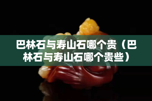 巴林石与寿山石哪个贵（巴林石与寿山石哪个贵些）