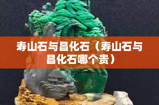 寿山石与昌化石（寿山石与昌化石哪个贵）