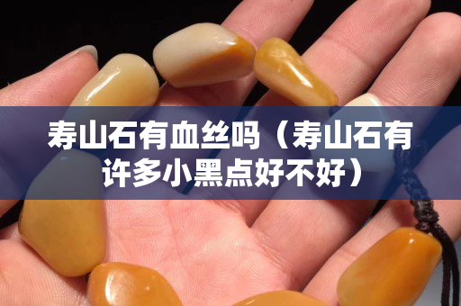 寿山石有血丝吗（寿山石有许多小黑点好不好）