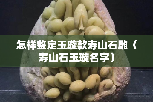 怎样鉴定玉璇款寿山石雕（寿山石玉璇名字）