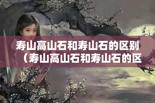 寿山高山石和寿山石的区别（寿山高山石和寿山石的区别图片）