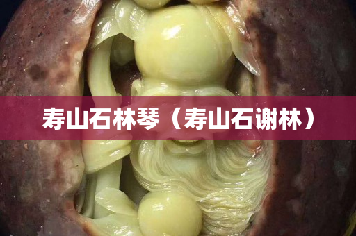 寿山石林琴（寿山石谢林）