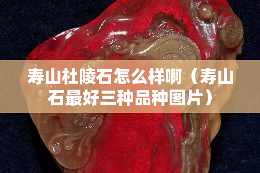 寿山杜陵石怎么样啊（寿山石最好三种品种图片）