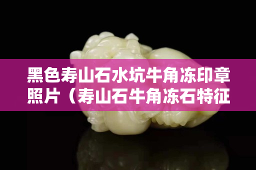 黑色寿山石水坑牛角冻印章照片（寿山石牛角冻石特征）