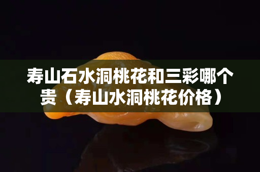 寿山石水洞桃花和三彩哪个贵（寿山水洞桃花价格）