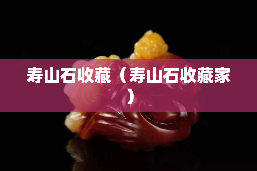 寿山石收藏（寿山石收藏家）