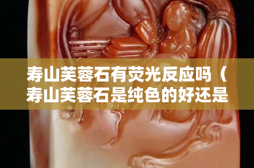 寿山芙蓉石有荧光反应吗（寿山芙蓉石是纯色的好还是花的好）