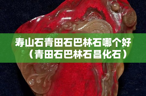 寿山石青田石巴林石哪个好（青田石巴林石昌化石）