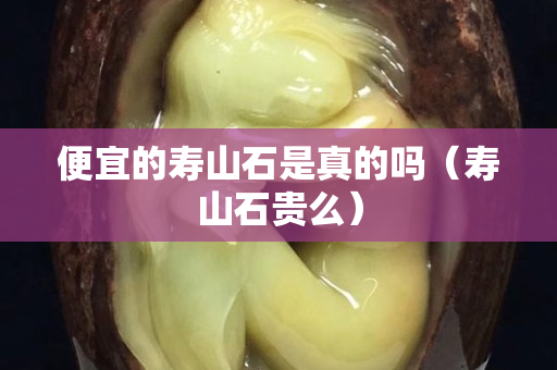 便宜的寿山石是真的吗（寿山石贵么）