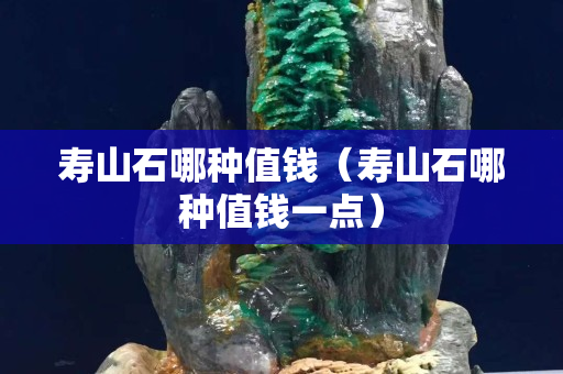 寿山石哪种值钱（寿山石哪种值钱一点）