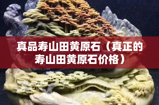 真品寿山田黄原石（真正的寿山田黄原石价格）