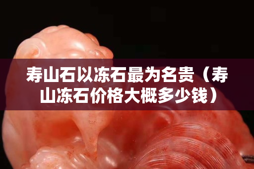 寿山石以冻石最为名贵（寿山冻石价格大概多少钱）
