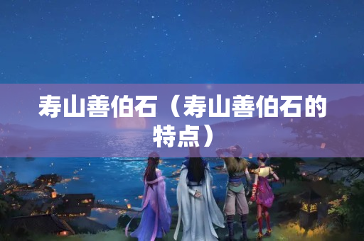寿山善伯石（寿山善伯石的特点）