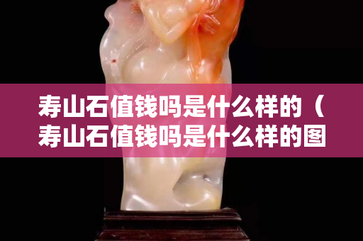 寿山石值钱吗是什么样的（寿山石值钱吗是什么样的图片）
