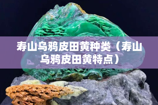 寿山乌鸦皮田黄种类（寿山乌鸦皮田黄特点）
