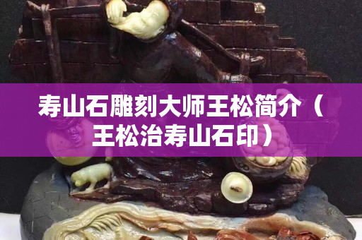 寿山石雕刻大师王松简介（王松治寿山石印）