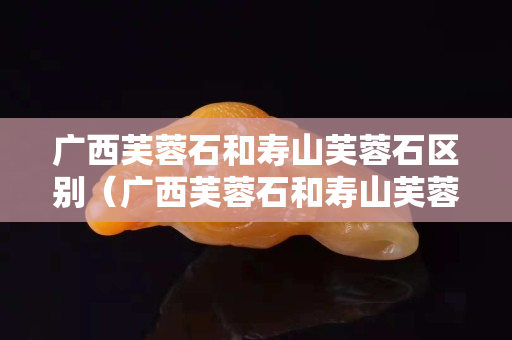 广西芙蓉石和寿山芙蓉石区别（广西芙蓉石和寿山芙蓉石区别在哪）