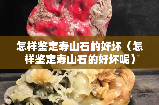 怎样鉴定寿山石的好坏（怎样鉴定寿山石的好坏呢）