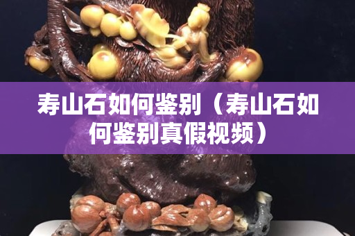寿山石如何鉴别（寿山石如何鉴别真假视频）