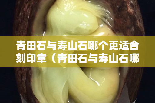 青田石与寿山石哪个更适合刻印章（青田石与寿山石哪个更适合刻印章呢）