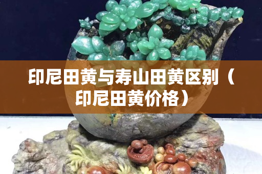 印尼田黄与寿山田黄区别（印尼田黄价格）