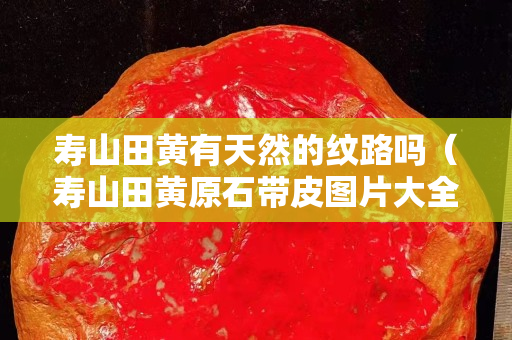 寿山田黄有天然的纹路吗（寿山田黄原石带皮图片大全）
