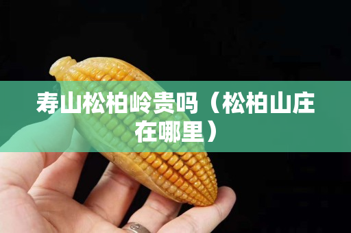 寿山松柏岭贵吗（松柏山庄在哪里）